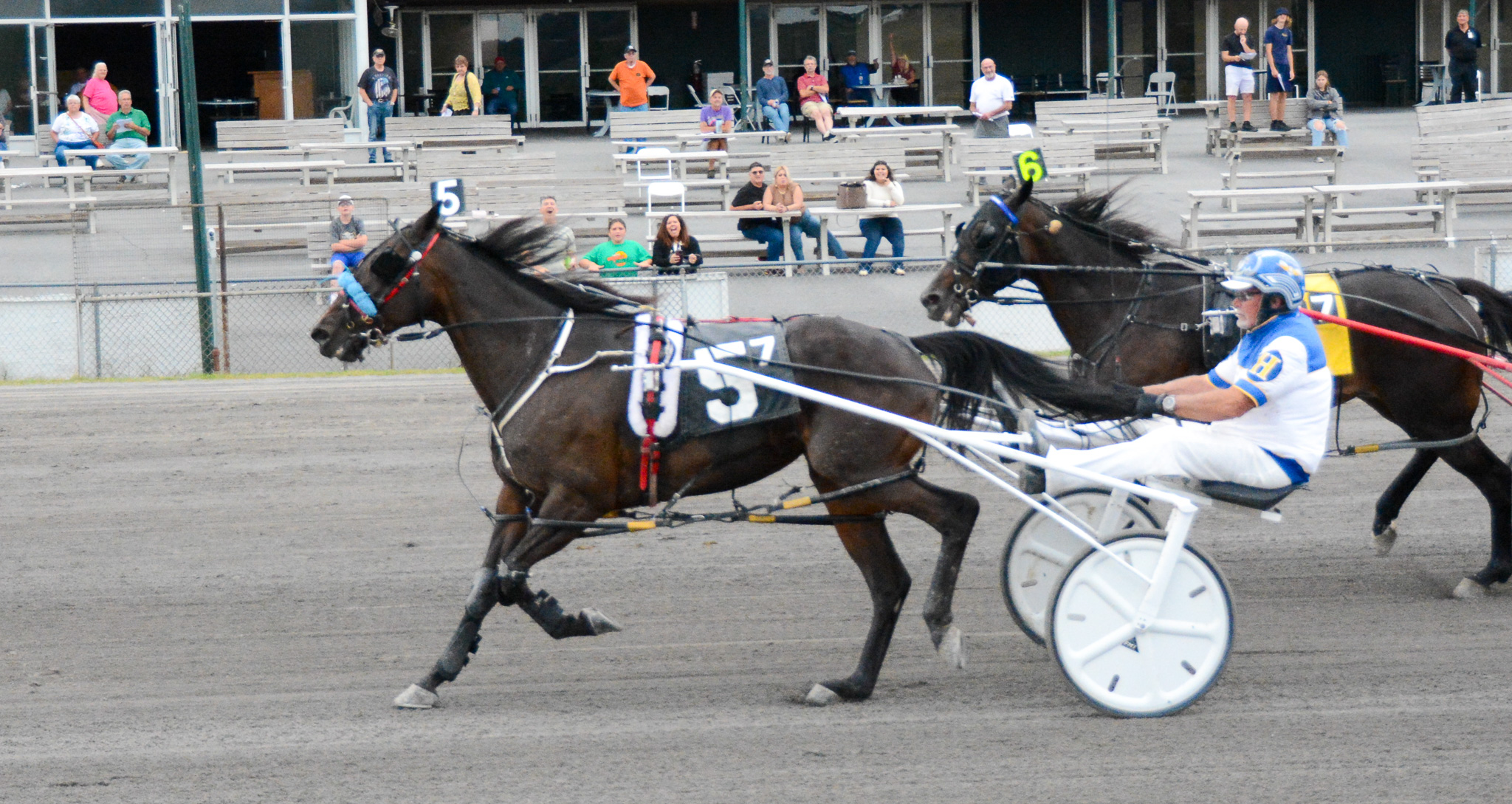 Unusual Clarity delivers clear-cut win