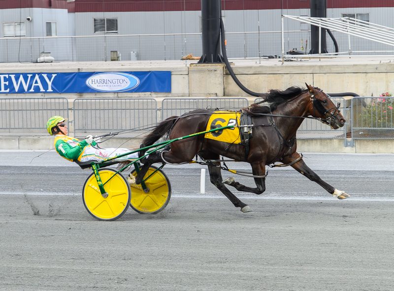 DSBF 2YO pacers shine