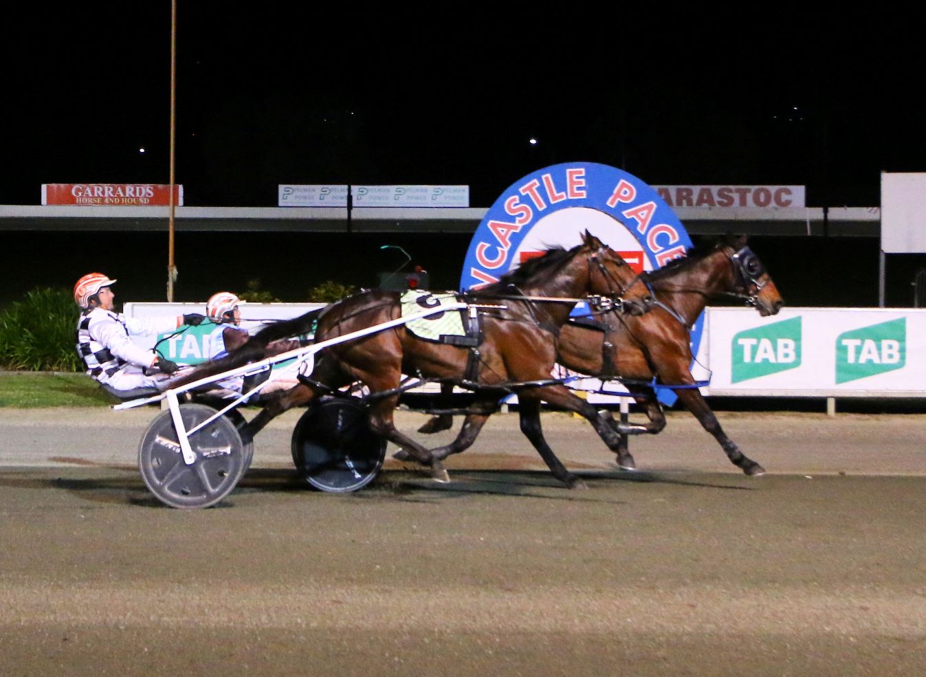 Walter Warlock surprises in the Nutrien Breeders Challenge Heat