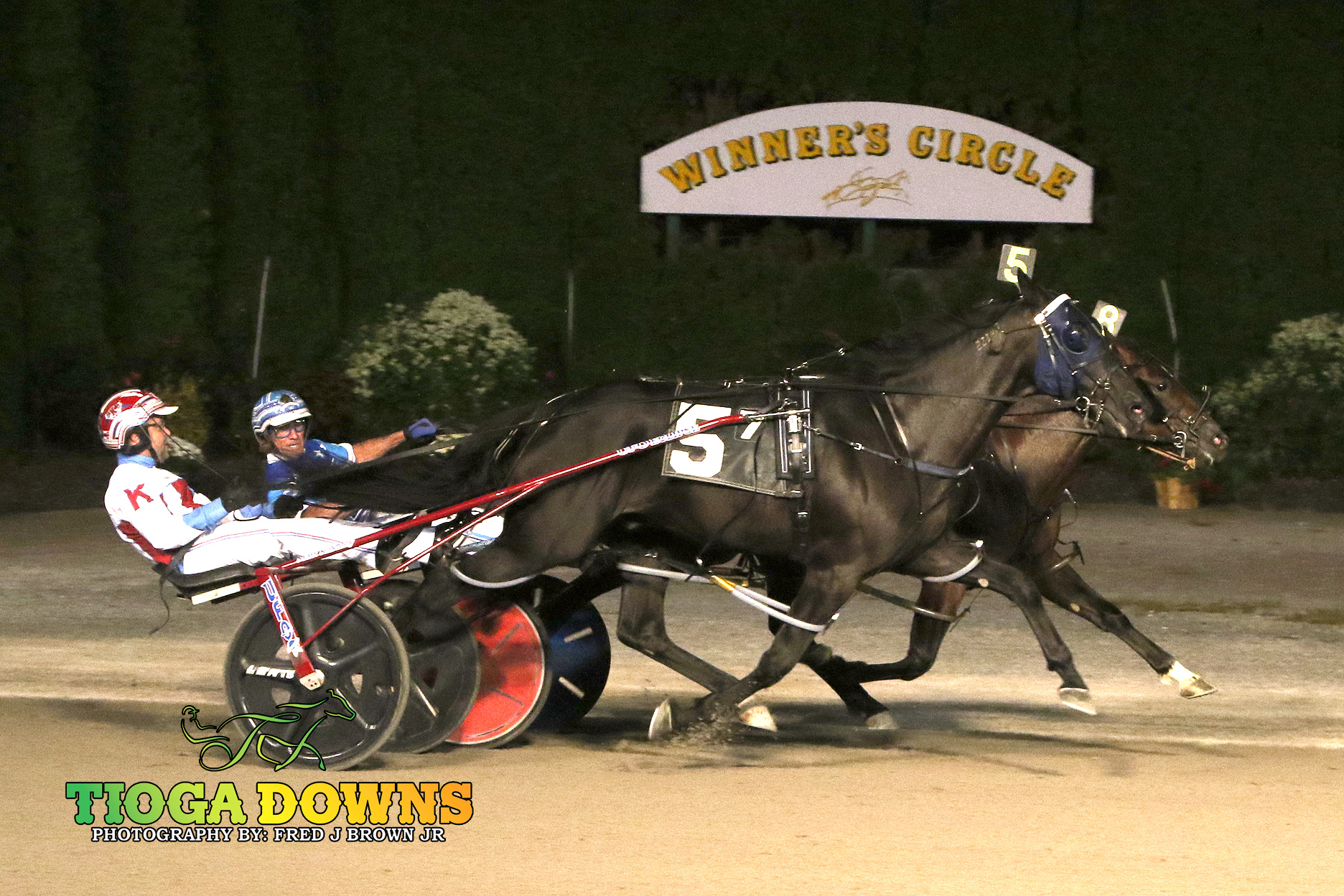 Watch Em Win takes out “The Solicitor”