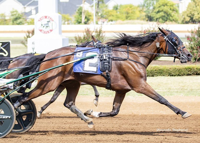 Three in a row for Winnpanzee