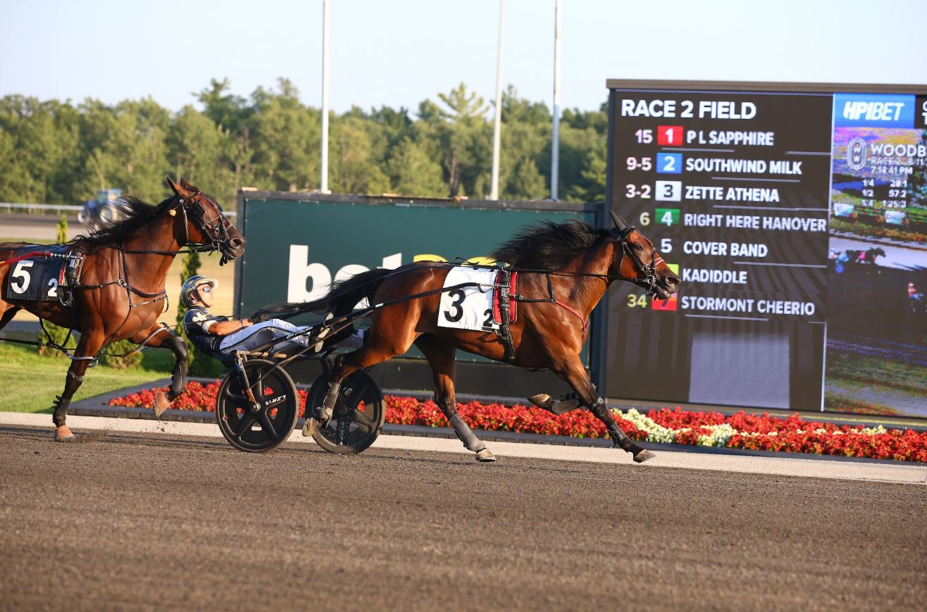 Zette Athena owners pay $30,000 (CAD) fee to enter Elegantimage Stakes