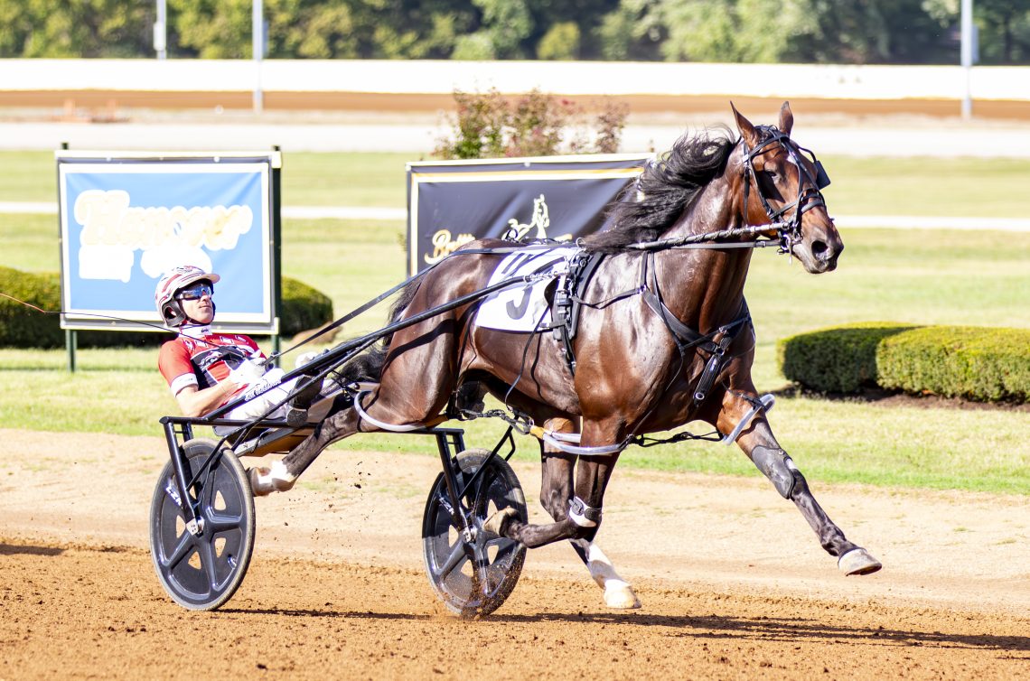 RELEASE: Signal Caller Strikes in Bluegrass Colt Pace