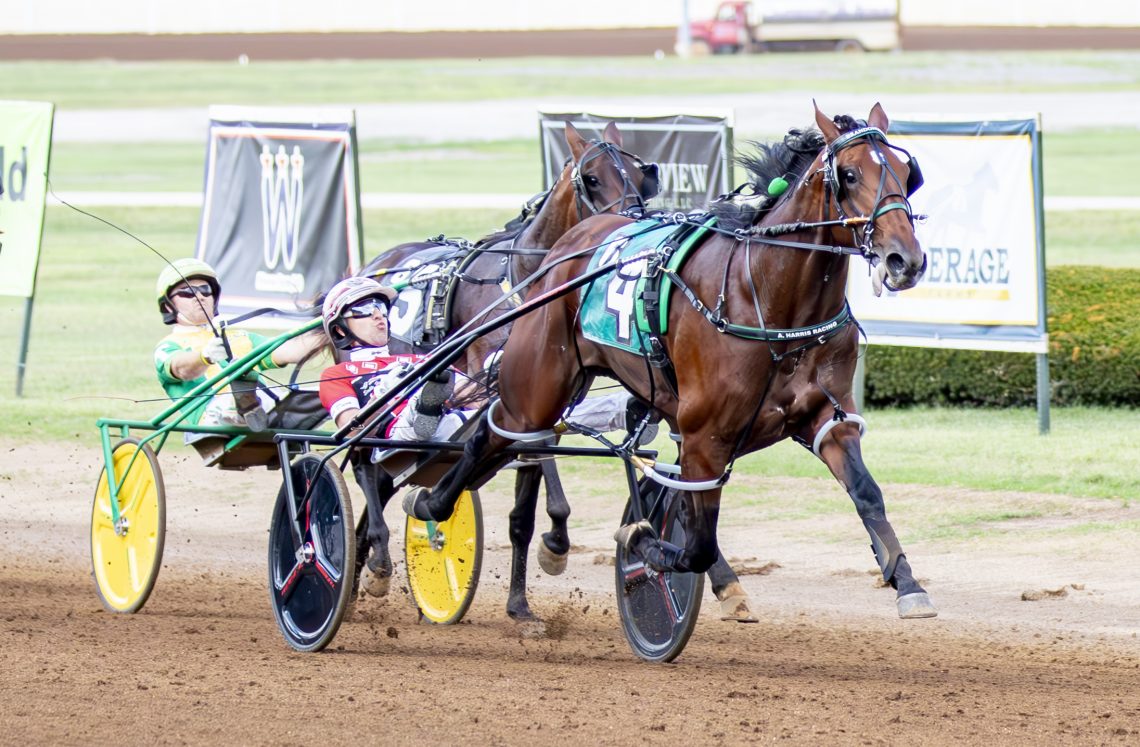 RELEASE: Signal Caller Strikes in Bluegrass Colt Pace