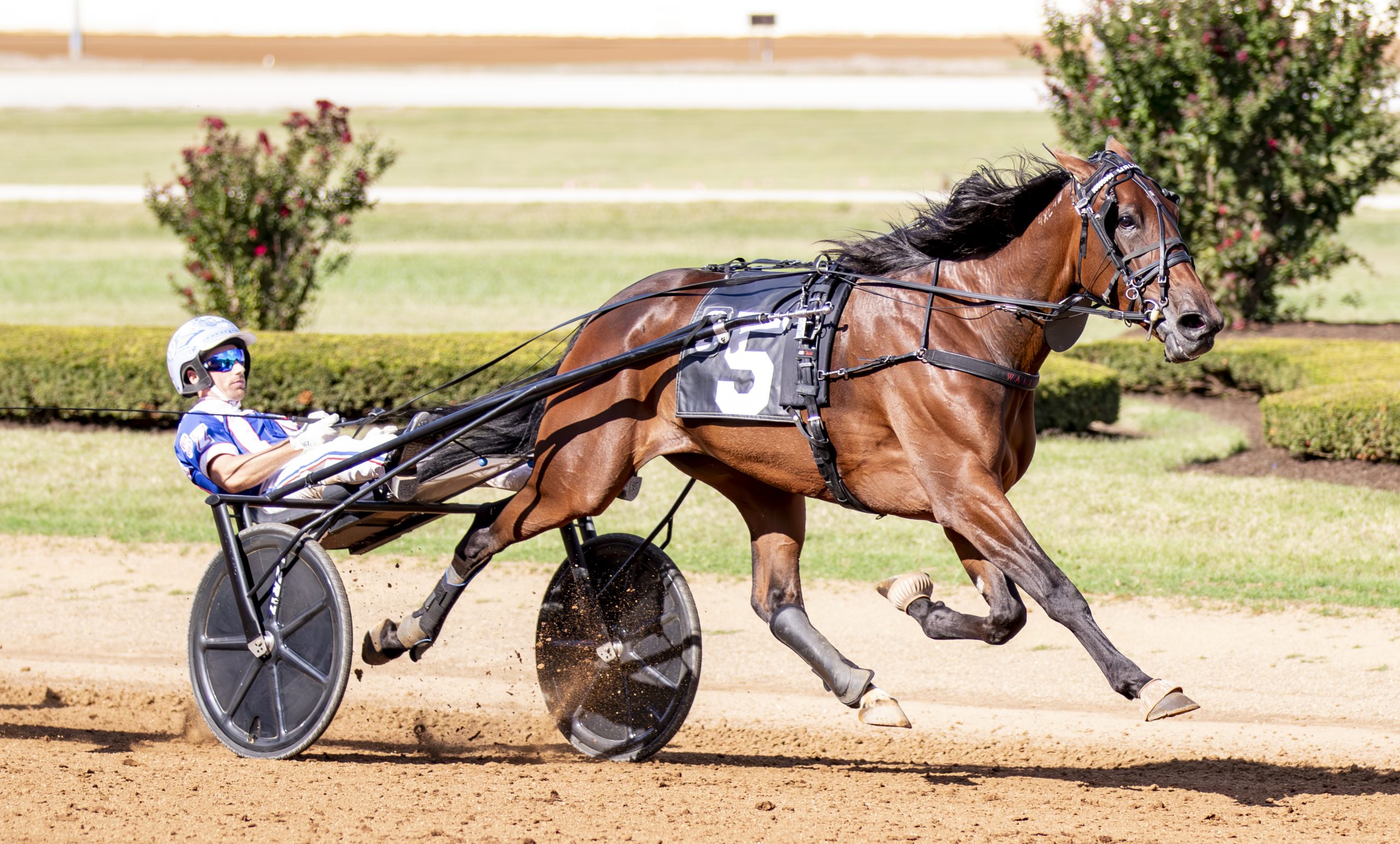 Delaney Hanover ends Yo Tillie’s win streak in $294,200 Bluegrass division
