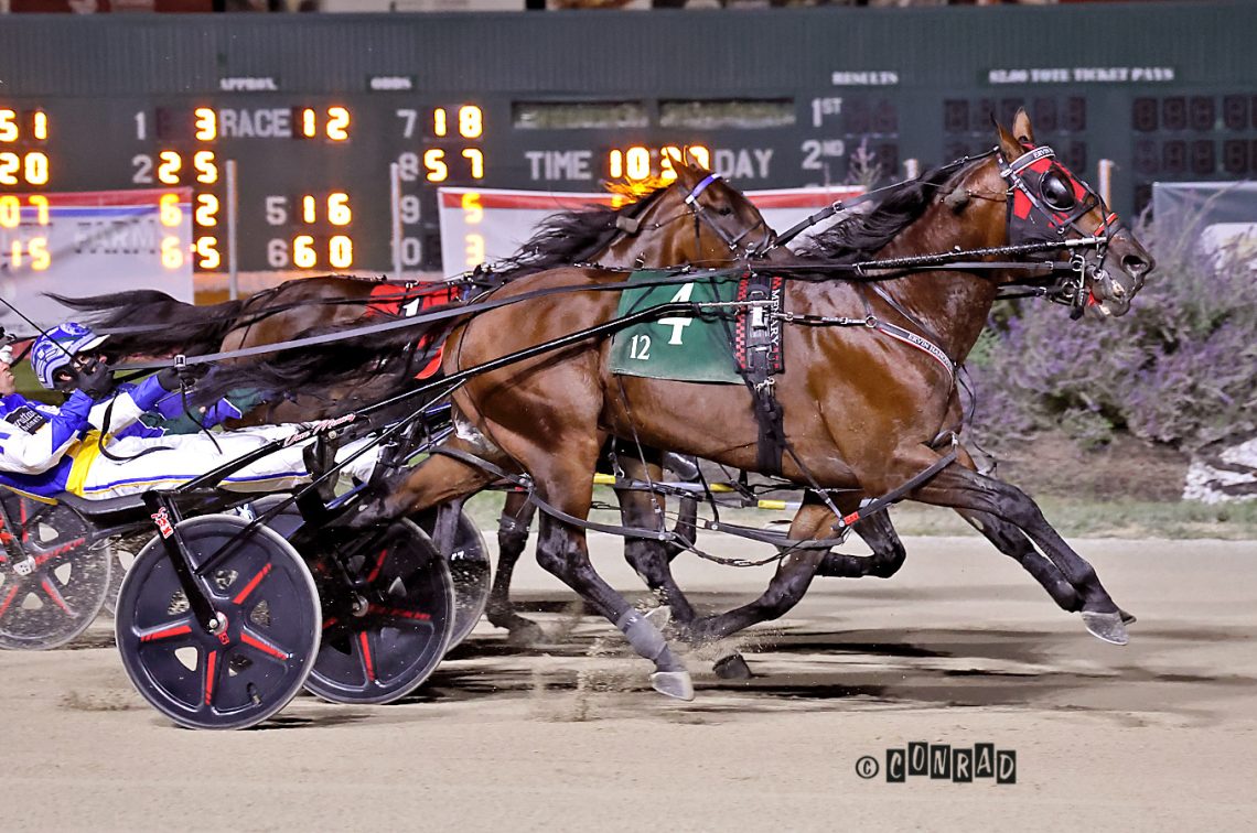 ‘Ervin’ looks to keep his groove in Dayton Pacing Derby