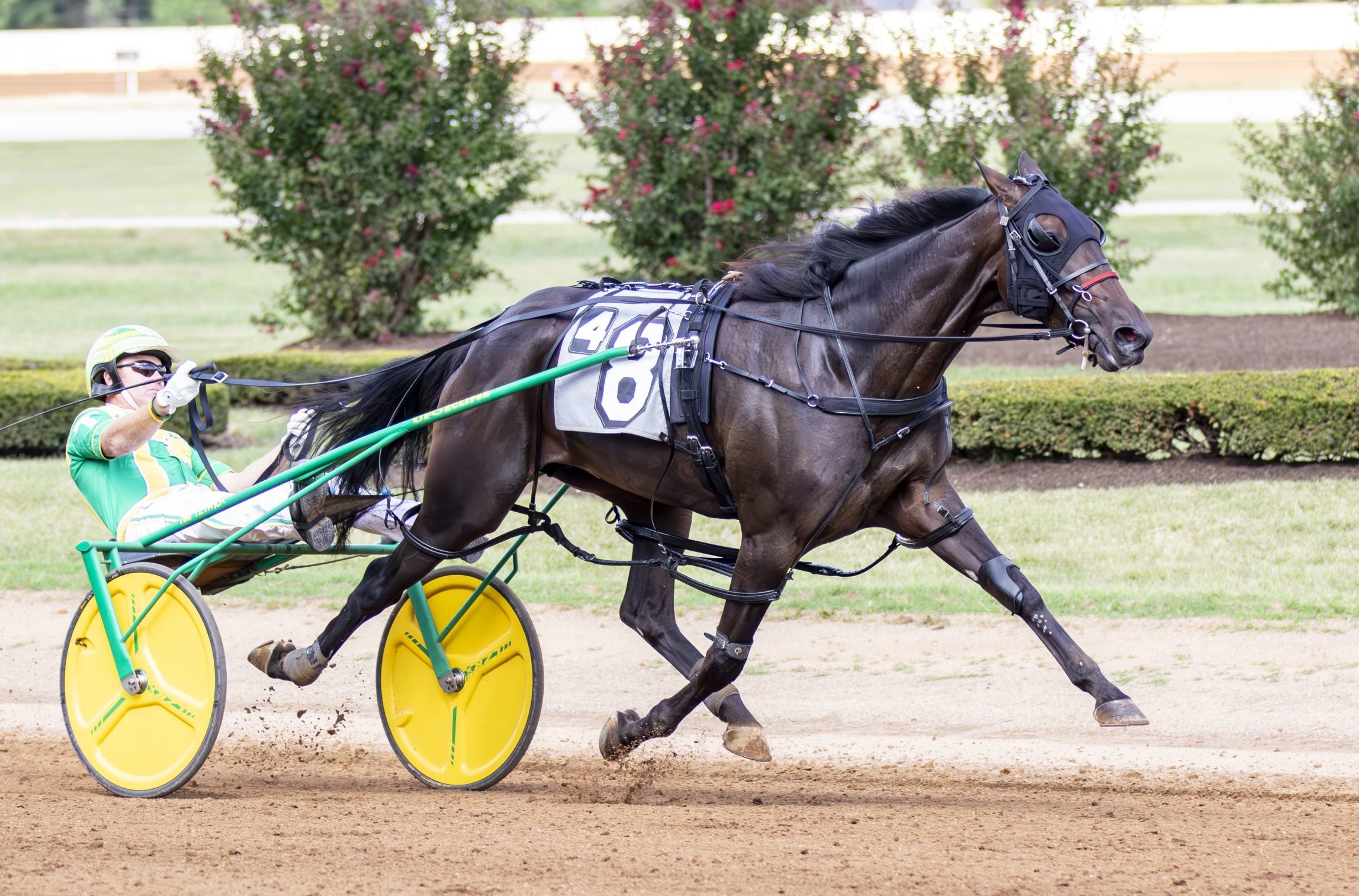 Fillies exploit pylon seams in $171,000 Bluegrass division wins