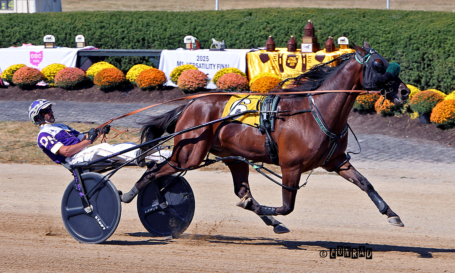 Fly High Cruiser gets third BSS win