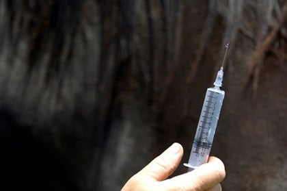 Injecting a horse sparks $5,000 fine and two-year ban for veteran trainer