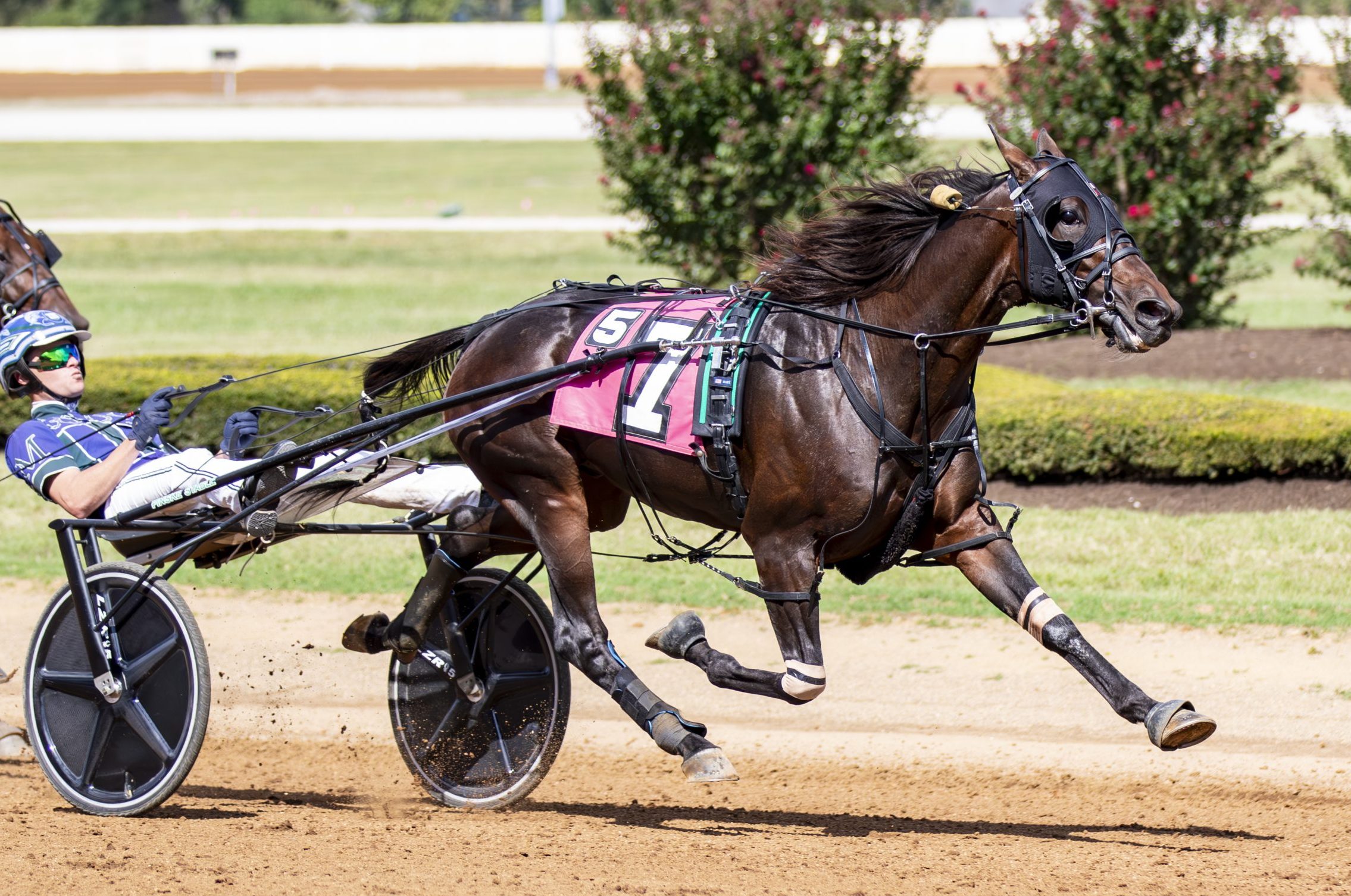 Go Dog Go dips under 1:50 winning $261,000 Bluegrass division