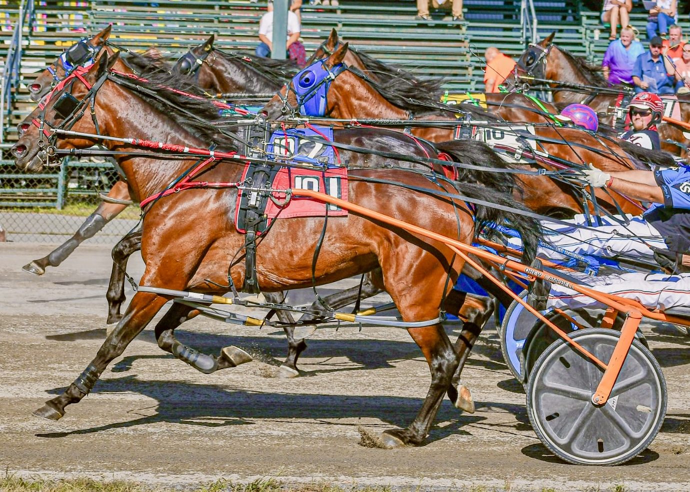 June Parker scores seventh consecutive win