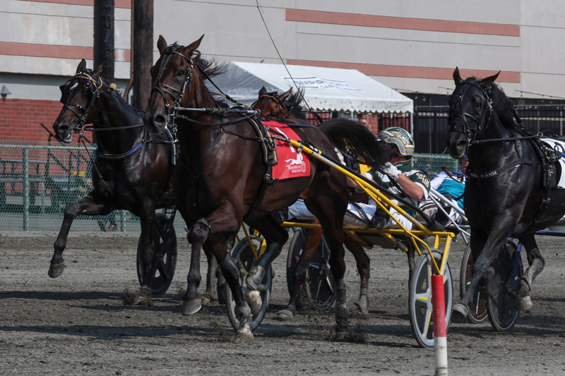 Lexus Kody wins $1million International Trot for team Canada