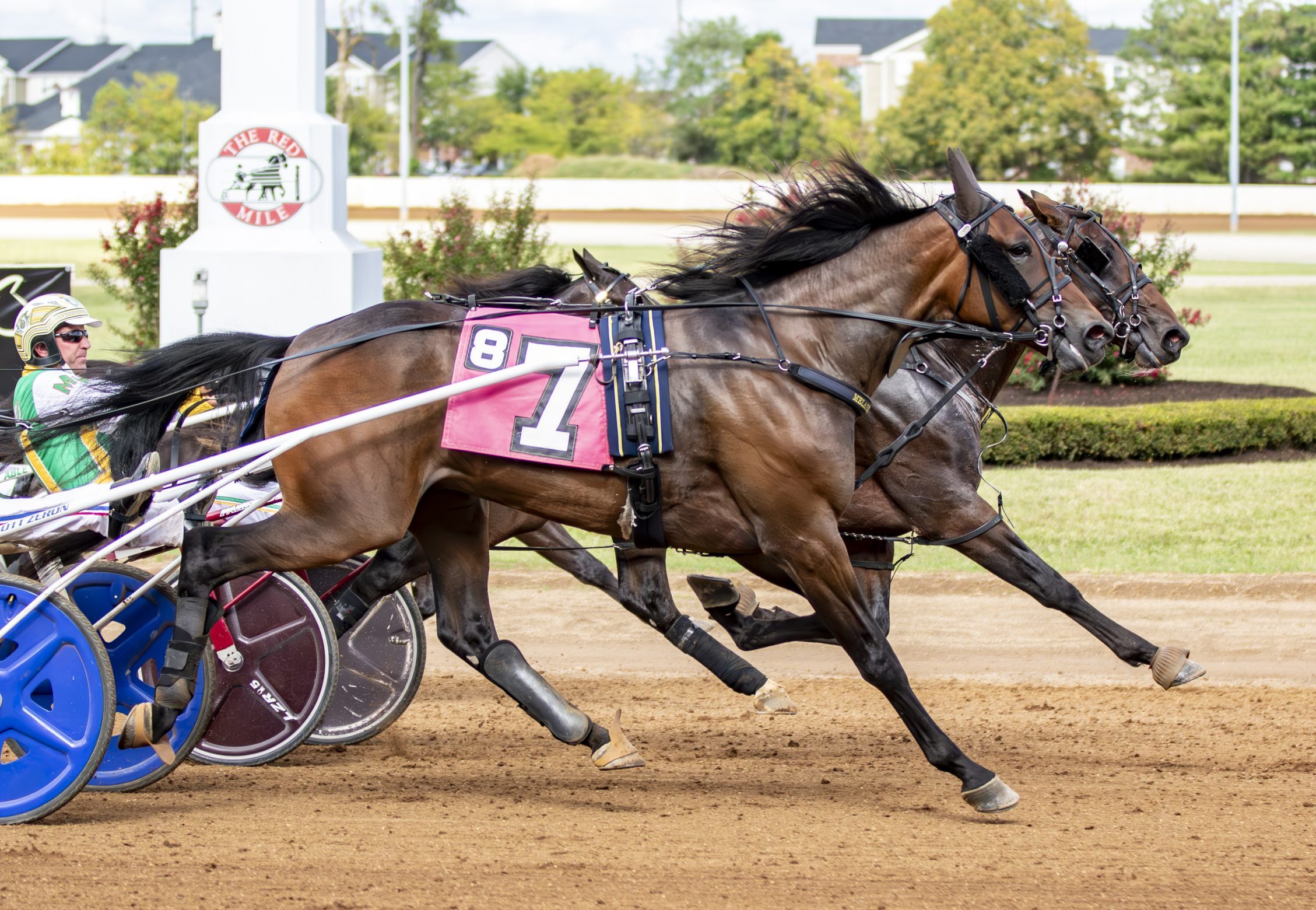 Mr Big Spender strong in $330,000 2YO Bluegrass division