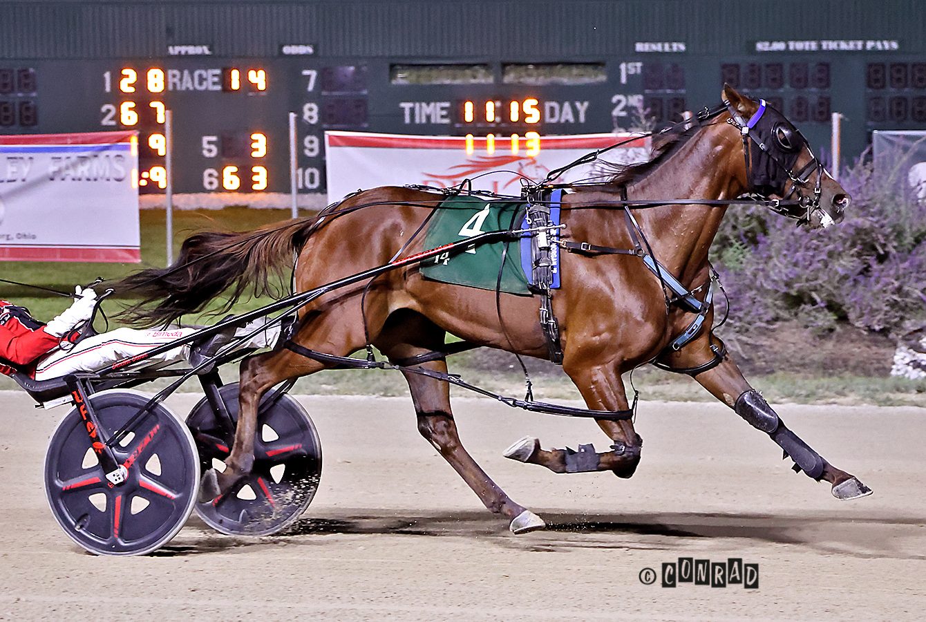 Odds On Chesapeake gets her fourth OSS win