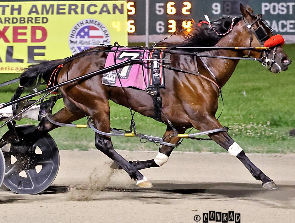 Small stable, Big stage for Rose Run Aimee