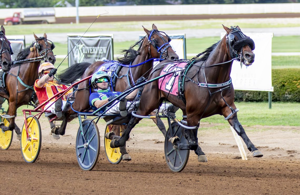 RELEASE: Signal Caller Strikes in Bluegrass Colt Pace