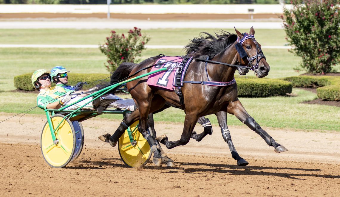 RELEASE: Southwind Chaska Charges in Bluegrass Filly Trot