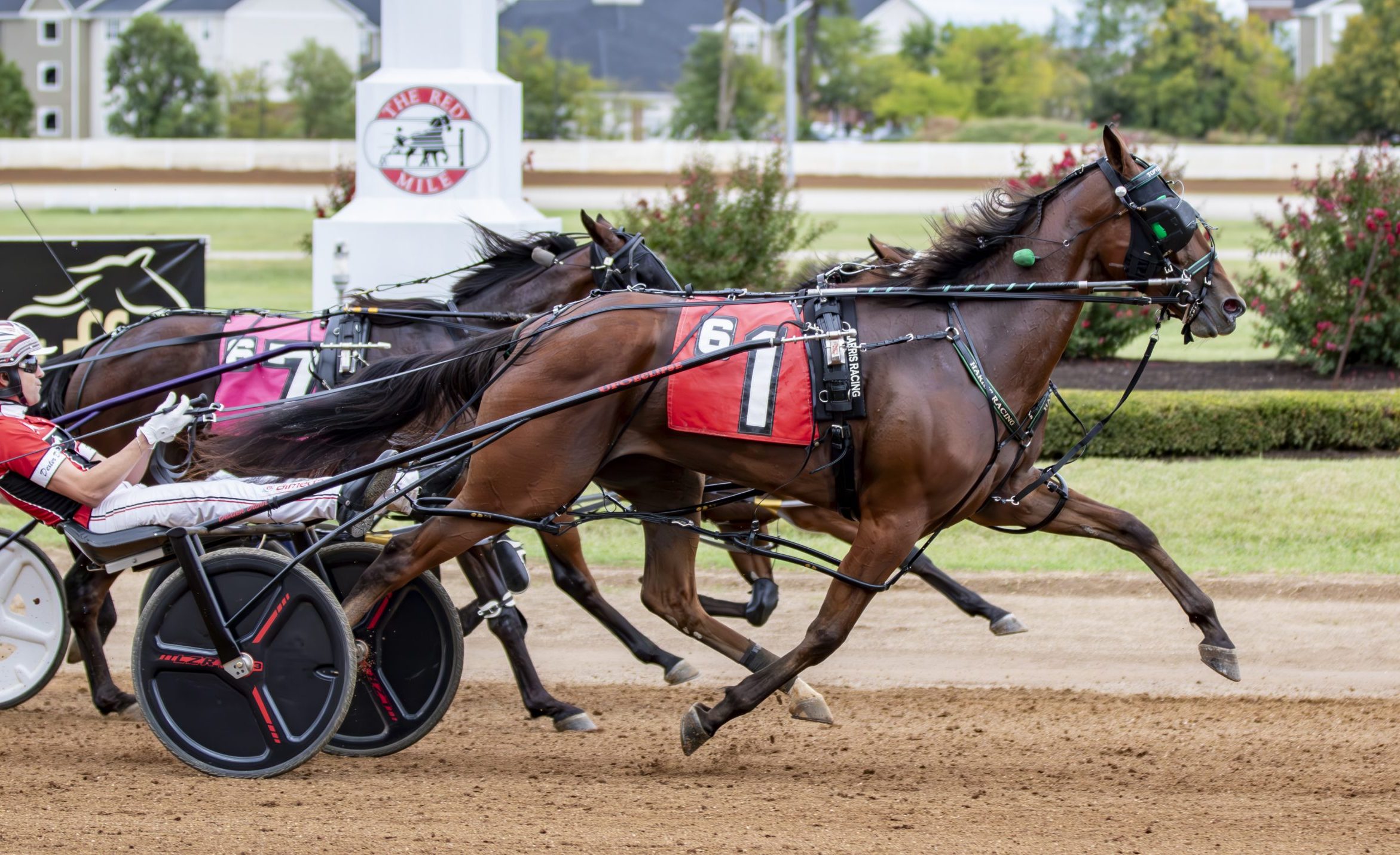 Topville Lucky holds on in $246,000 Bluegrass division win