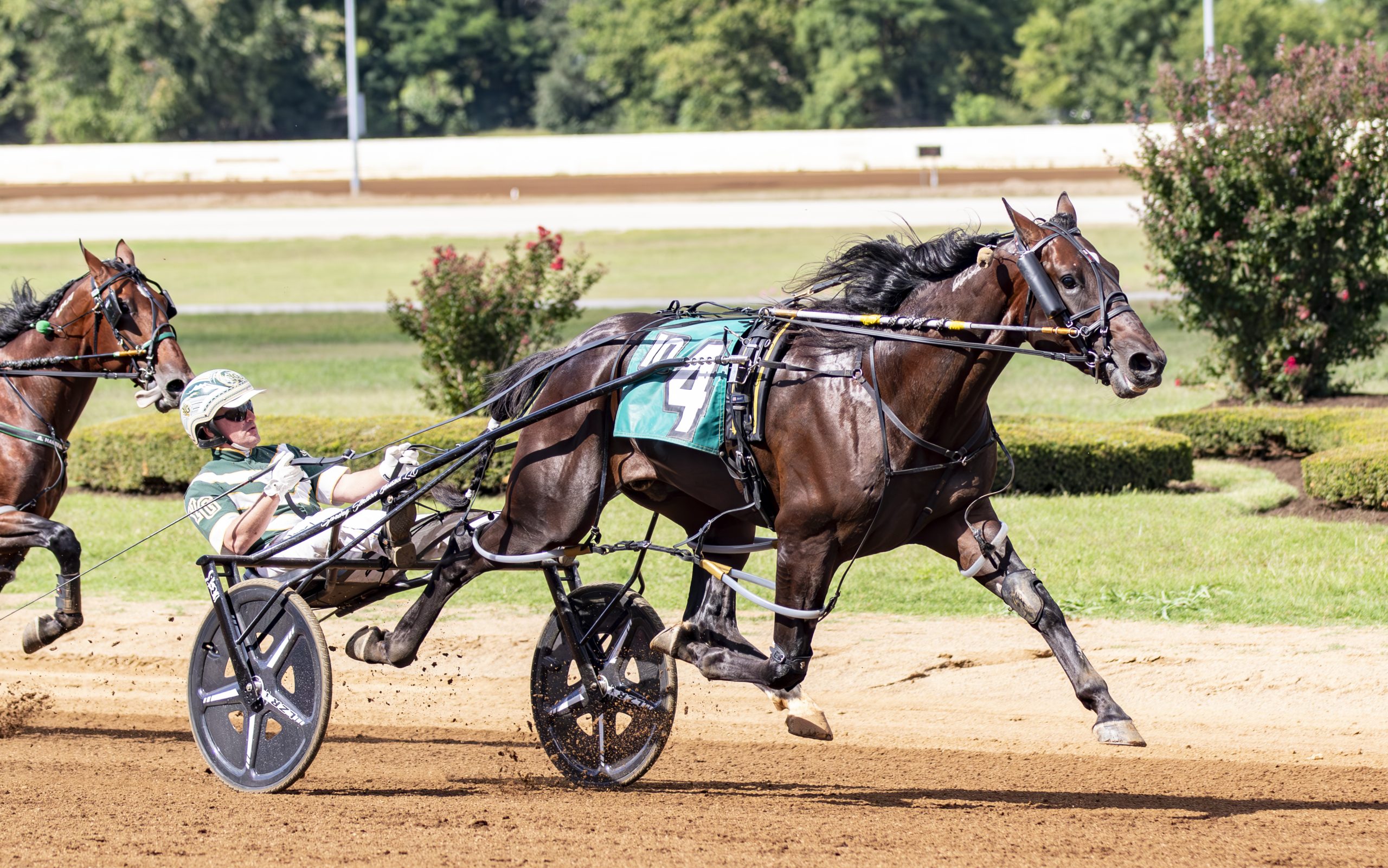 Burke brigade tops deep Bluegrass lineup
