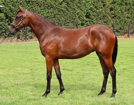 11 Lot auction closing Wednesday