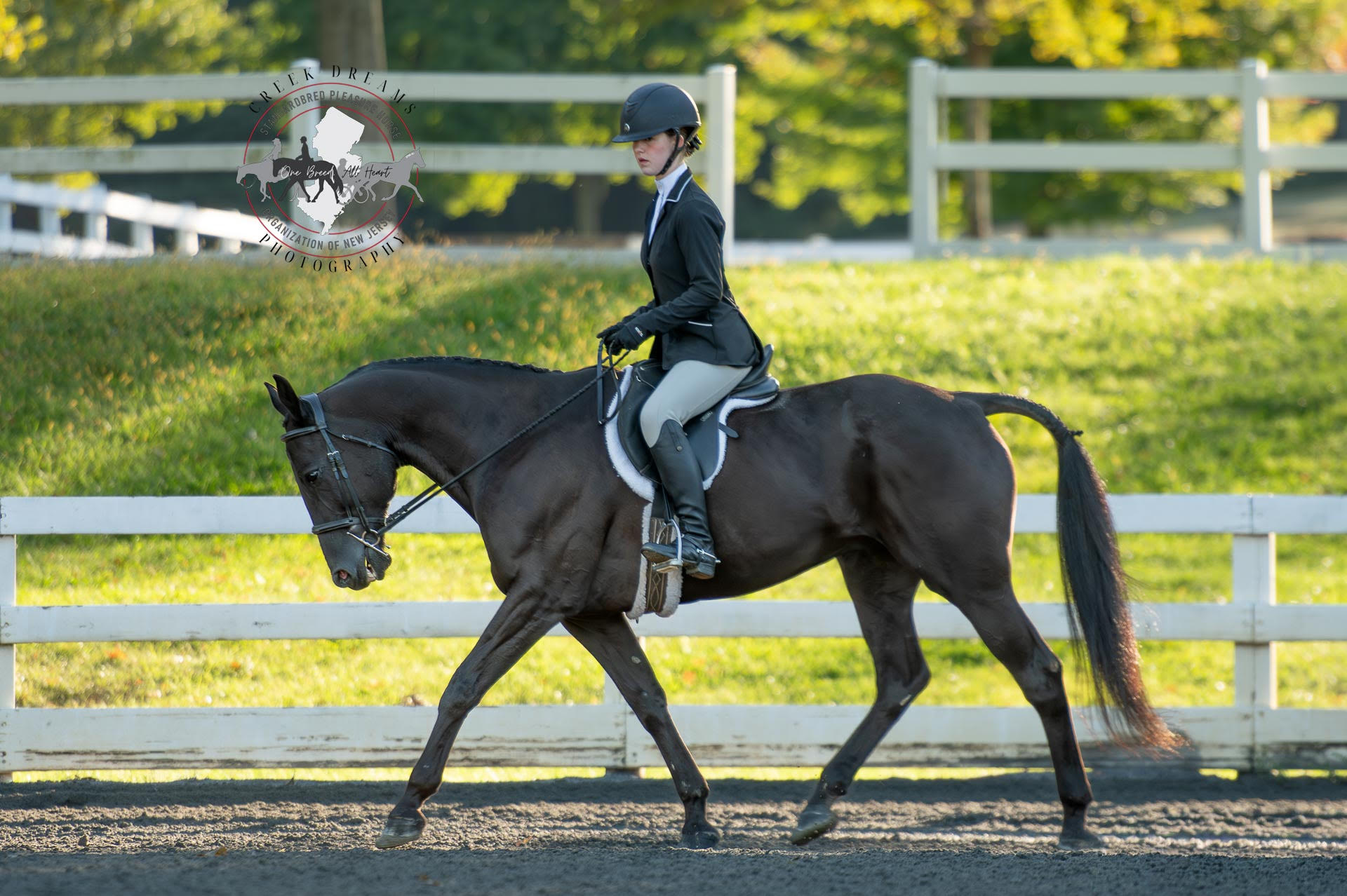 National Standardbred Horse Show crowns 2025 champions