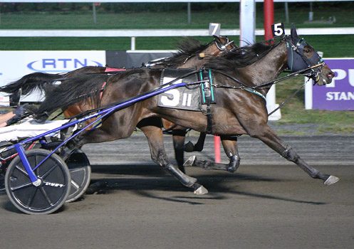 Yo Tillie stretches streak to 11 in $250K New Jersey Classic