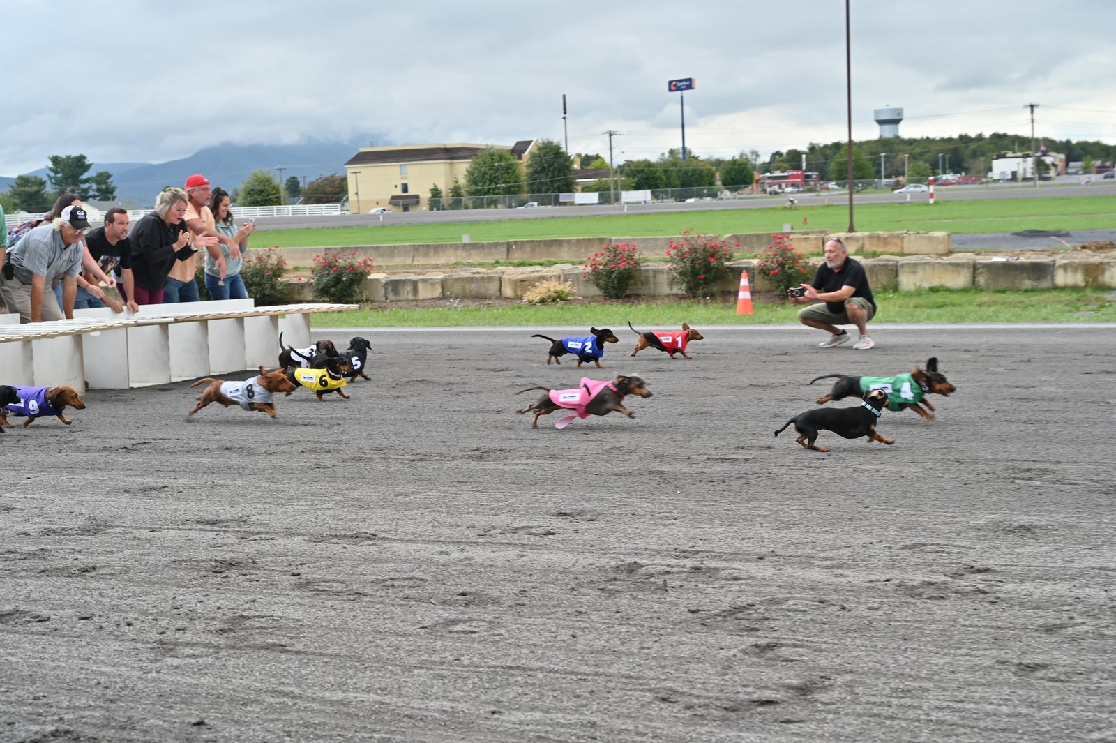 Annual Wiener Dog Derby coming to Shenandoah Downs