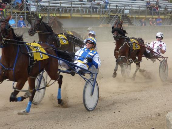 OHHA to Live Stream from Guernsey and Williams County Fairs