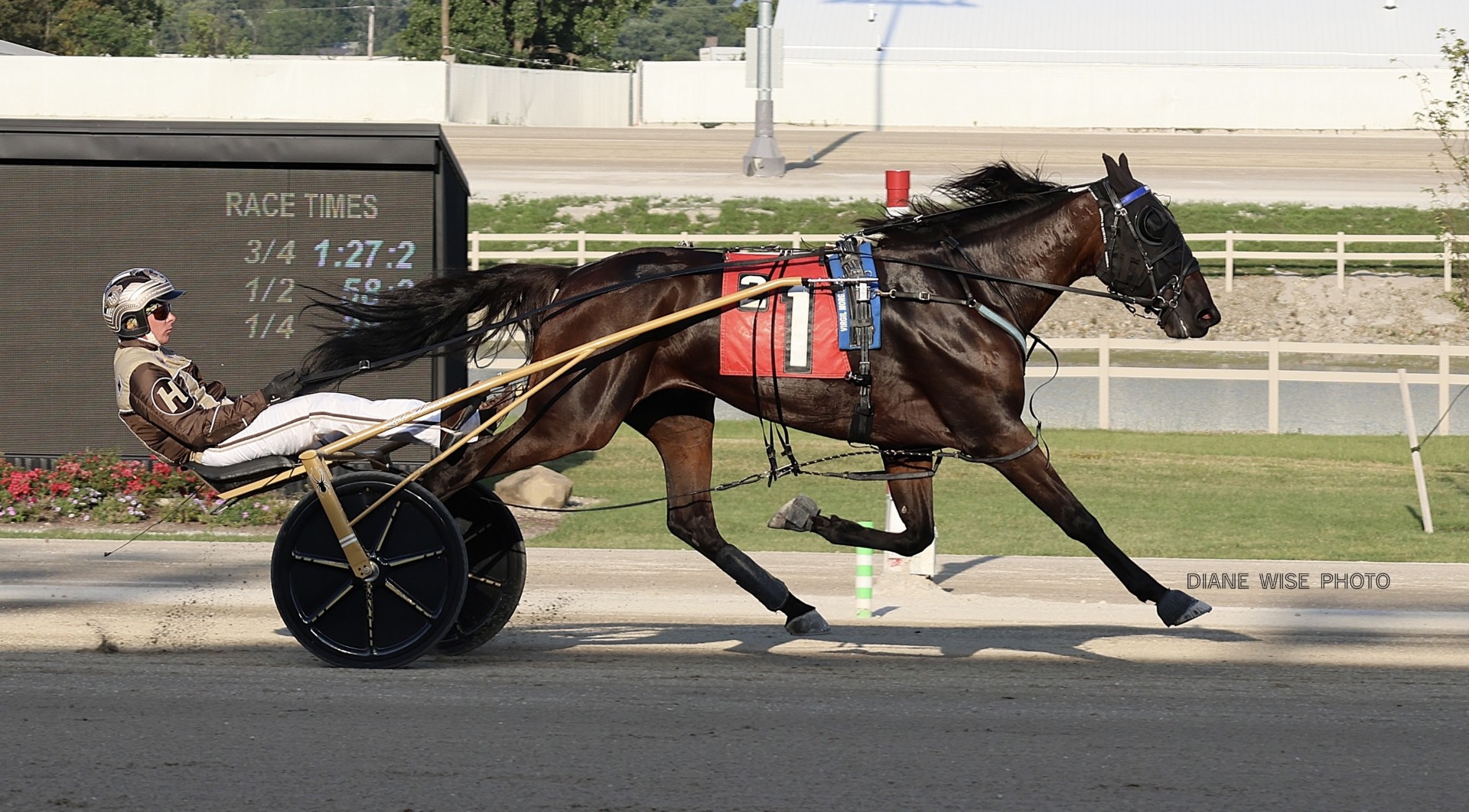 Travel Nurse vying for second straight BSS championship win