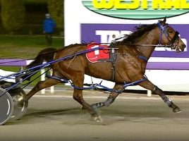 Franco Sheriff eyes Golden Nugget after strong win