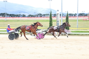Gelded son of Lather Up wins racetrack debut