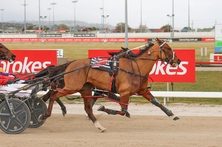 Laugher clocks up 500th training win