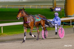 Remarkable winning run from Captainshavtime