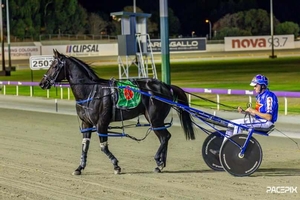 Favourite survives race full of drama