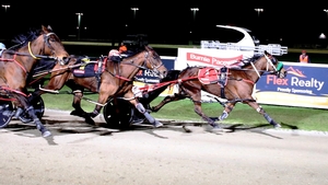 Spring strikes as Jadez ends long training drought