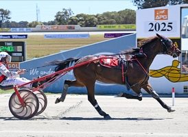 Tilthesunsets NZ breaks maiden in sweet style