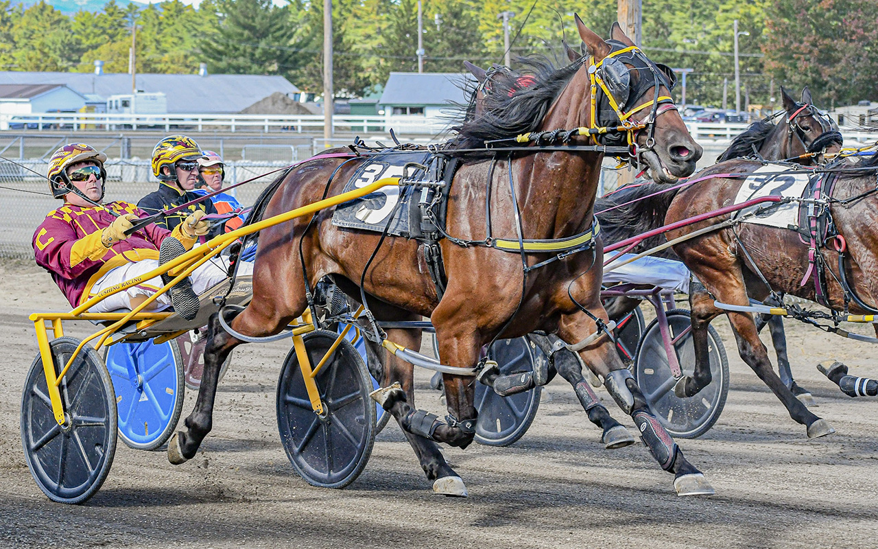 Star filly is the belle of the ball