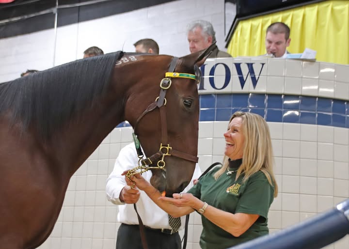 Black Book #2 Mixed Sale catalog heads to print