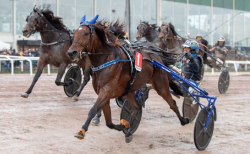 A Fair Day wins STL Gold at Jagersro