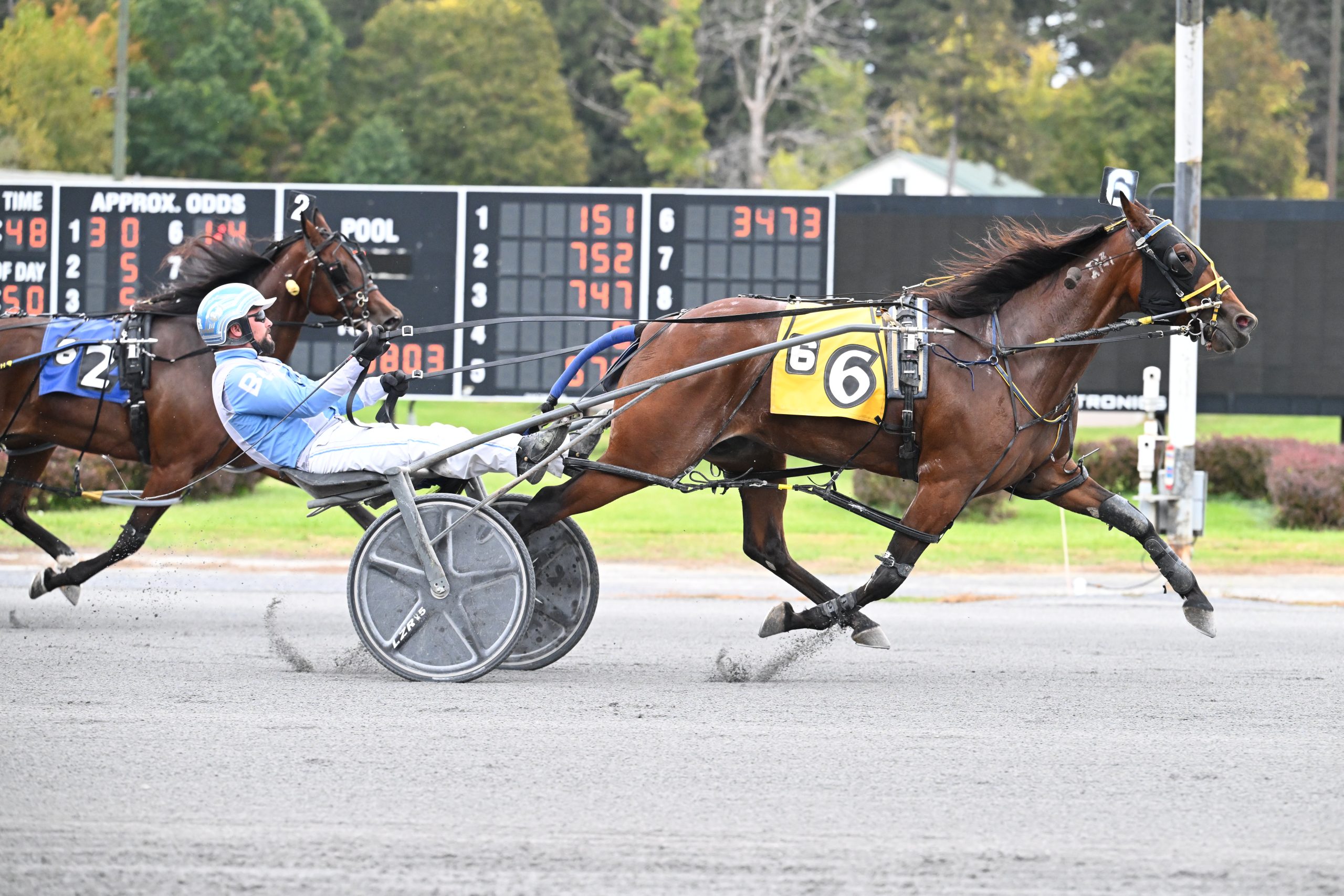 Dobson, Alittlesidehustl N shine again