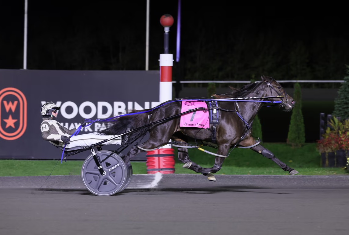 Always B Naughty rockets to Breeders Crown victory