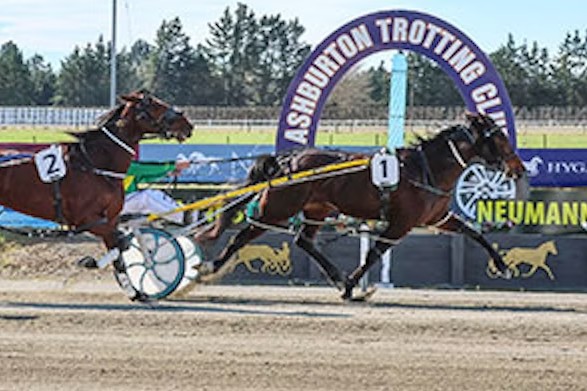 Australia vs NZ – Star drivers set for Ashburton showdown