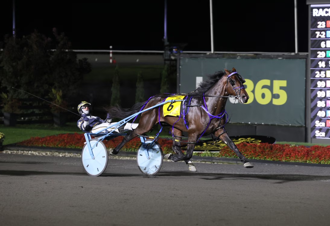 Little change in Hambletonian Society/Breeders Crown poll