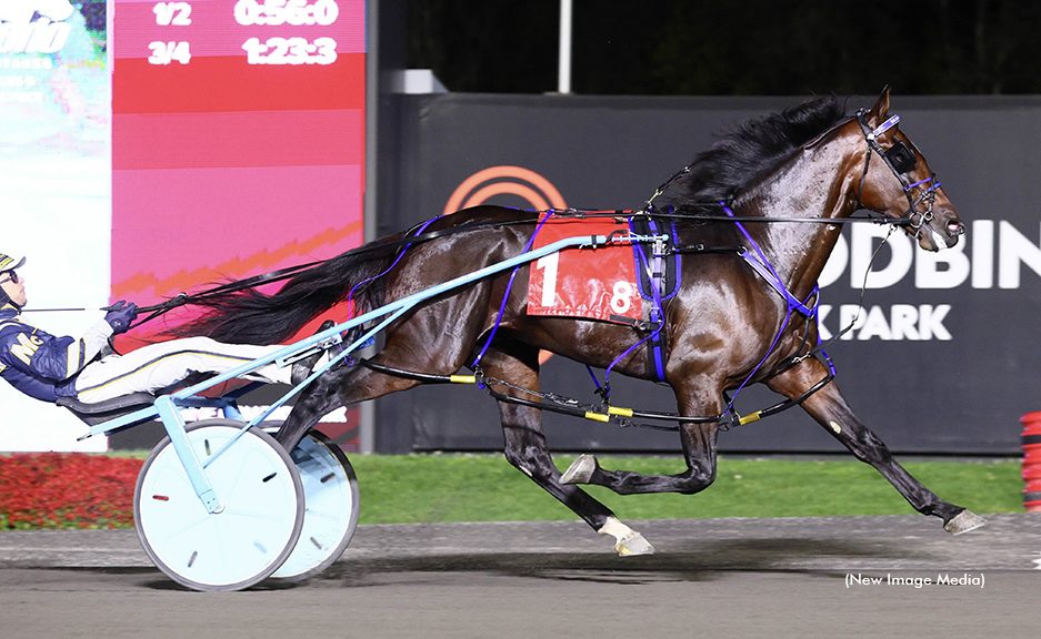 Beau Jangles tops $1 million in earnings with Gold win