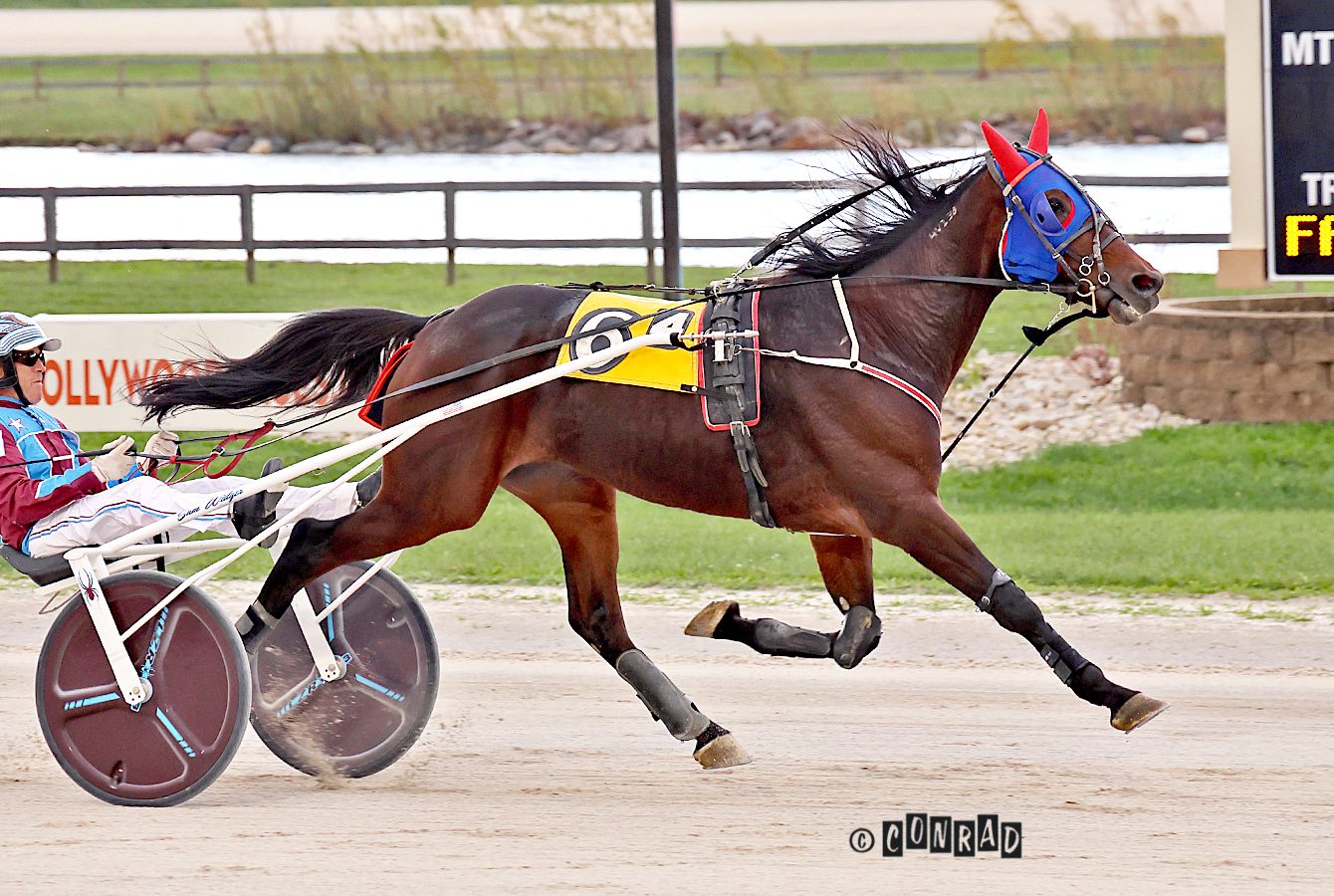 Widger steers Big Boys Edge to easy win