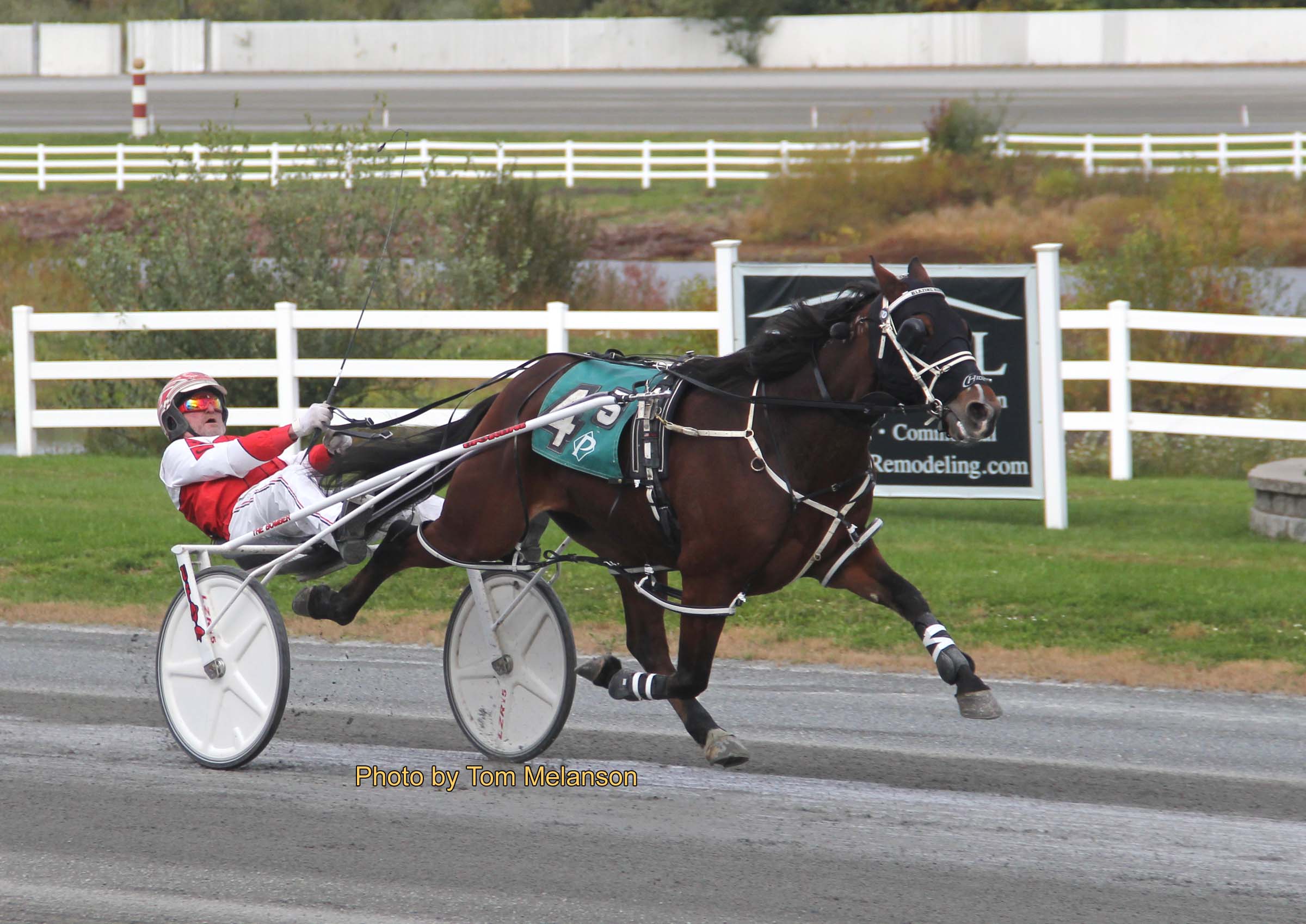 Blazing Home N scorches to impressive win