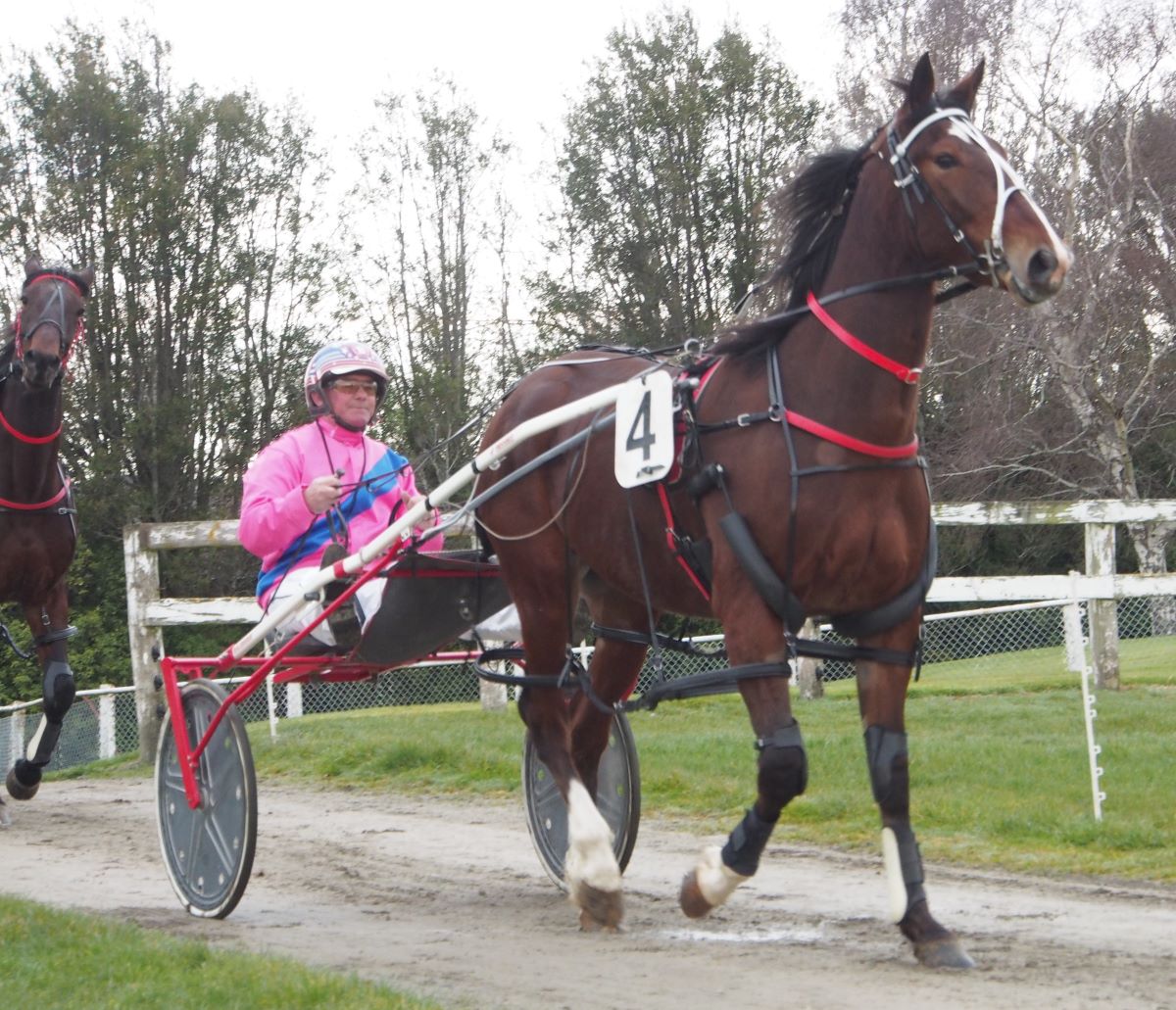 Gray set for two days