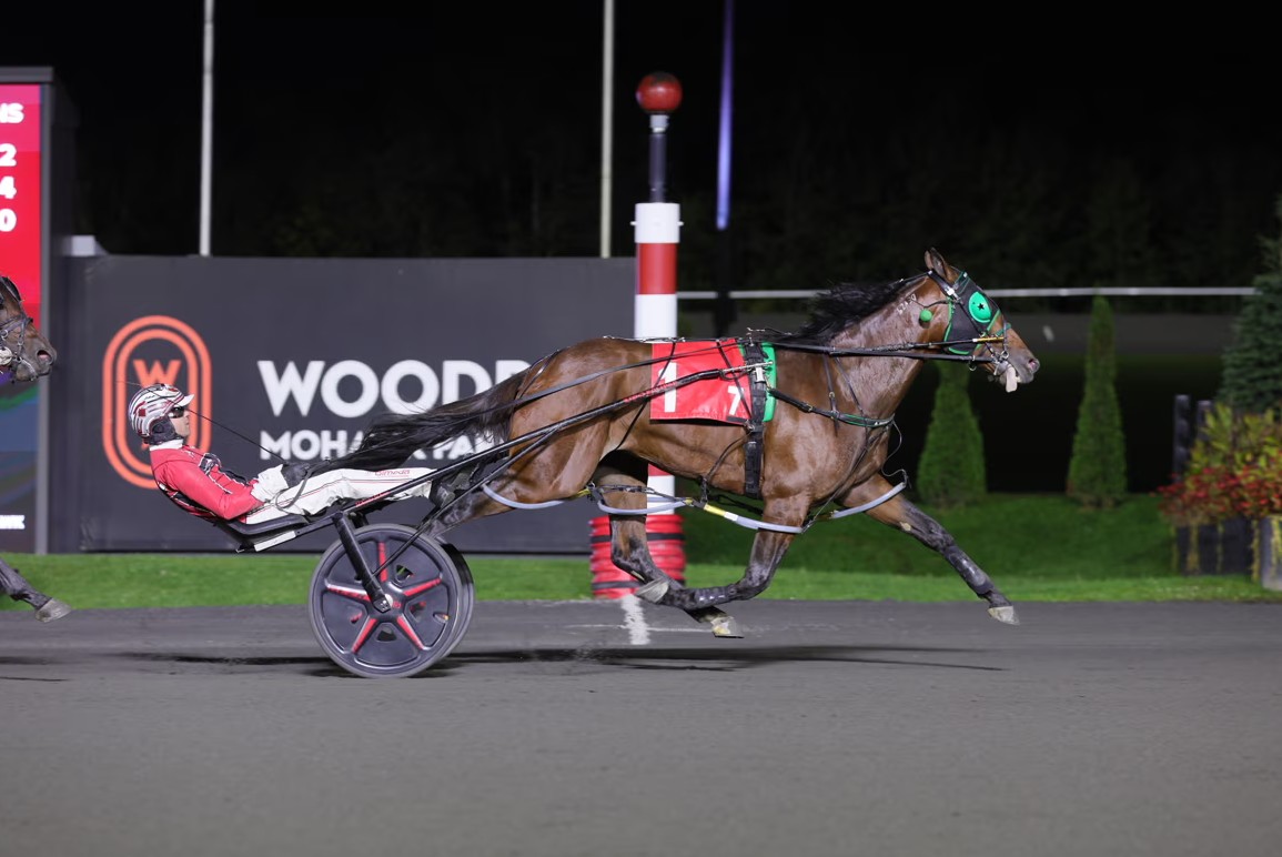 Brandon Blvd sets Canadian record in Breeders Crown elimination
