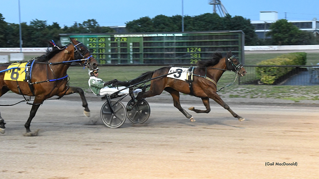 Buckhead Ridge favoured in Open Trot