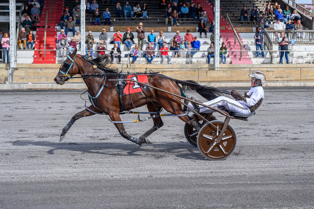Caviart Daisy shatters record in $91,025 Virginia Breeder’s Filly Pace